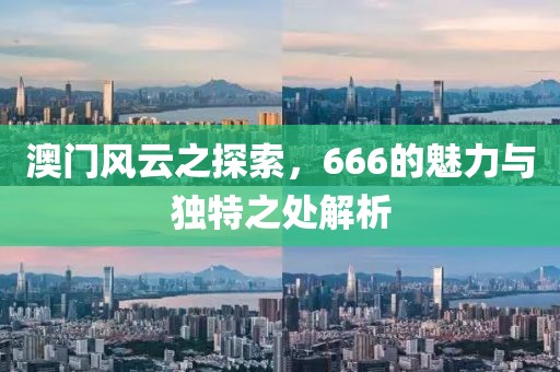 澳门风云之探索，666的魅力与独特之处解析