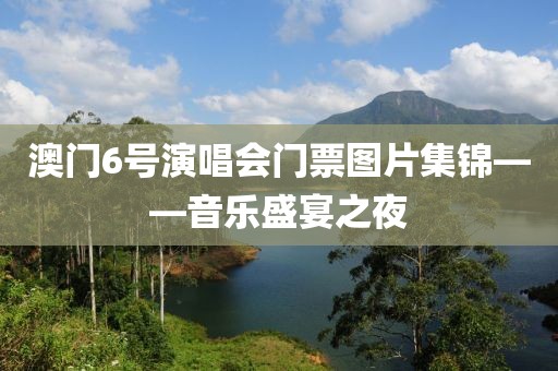 澳门6号演唱会门票图片集锦——音乐盛宴之夜