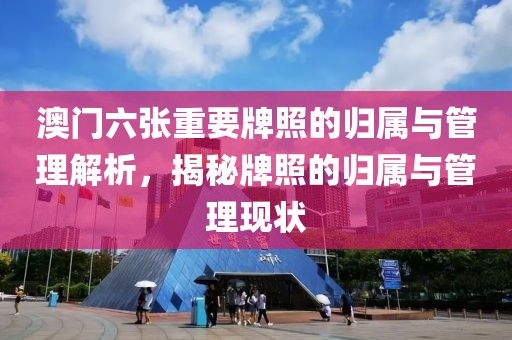 澳门六张重要牌照的归属与管理解析，揭秘牌照的归属与管理现状