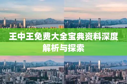 王中王免费大全宝典资料深度解析与探索