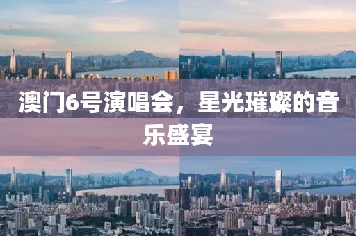 澳门6号演唱会，星光璀璨的音乐盛宴